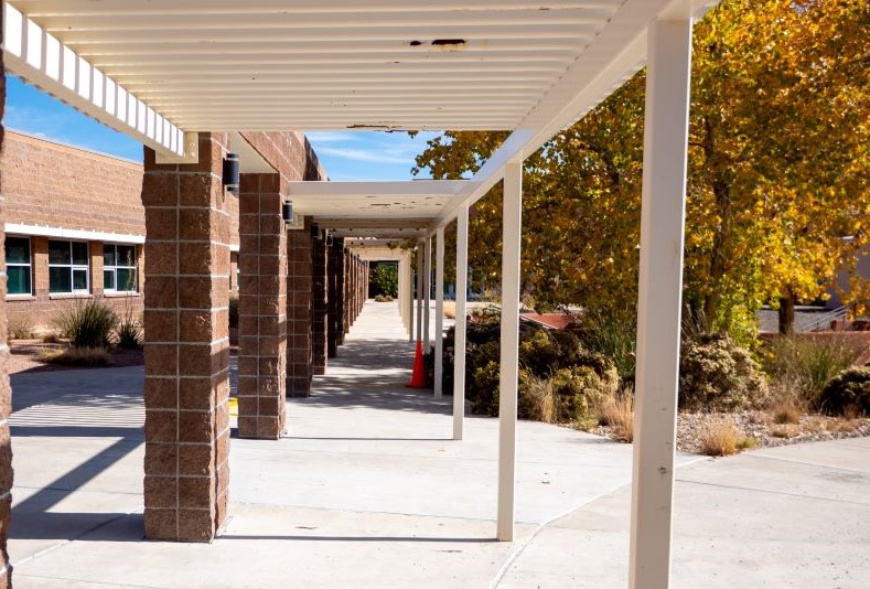 School building surrounded by trees, with a walkway leading towards it.