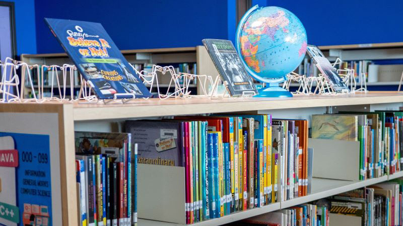library bookshelf full of books